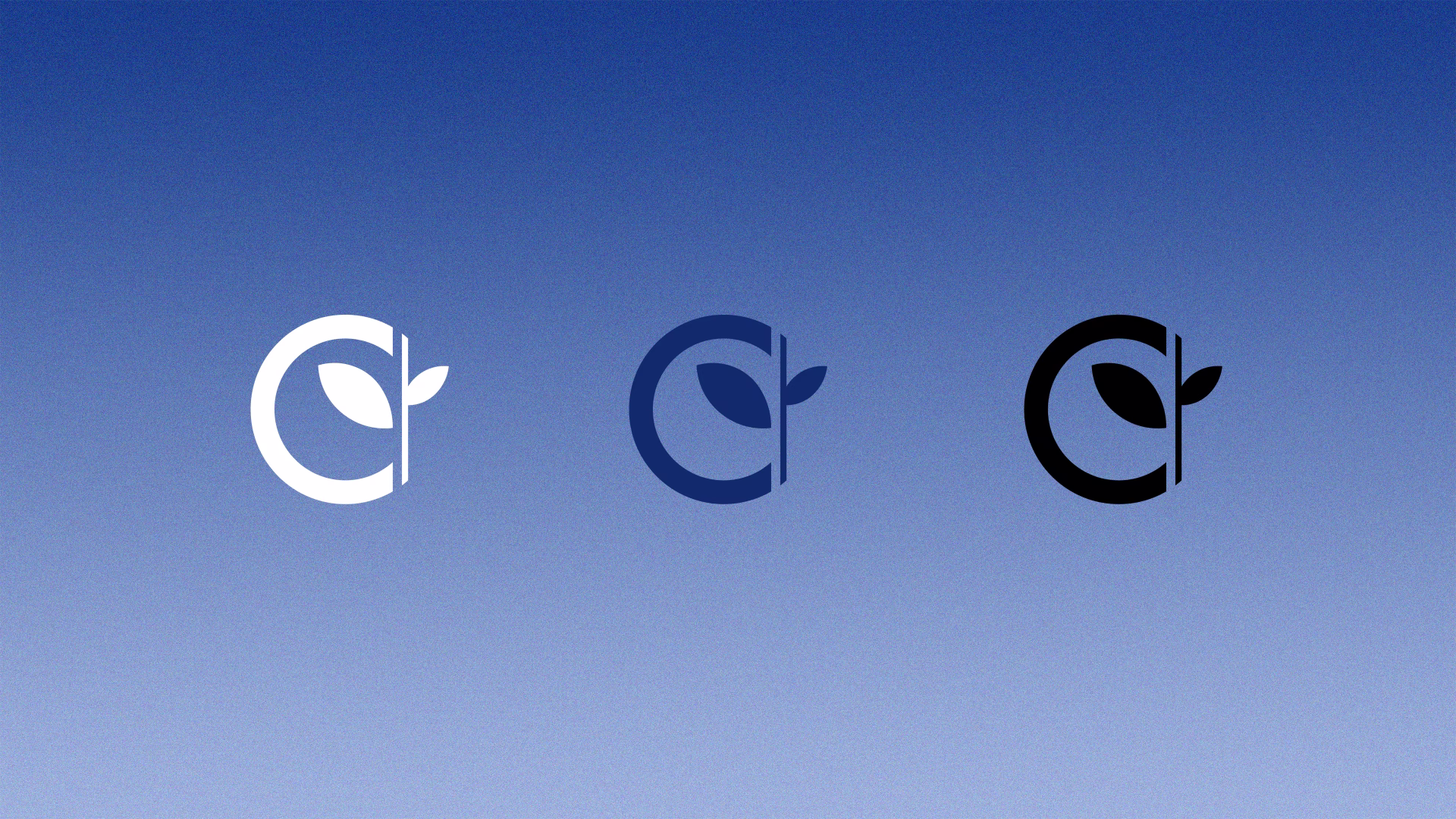 logo variations_new